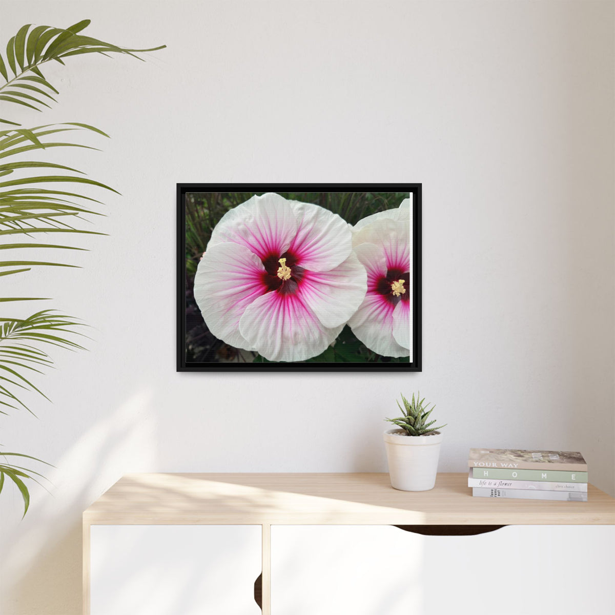 White Hibiscus Canvas Framed Print (original photograph by Kind River Studio)