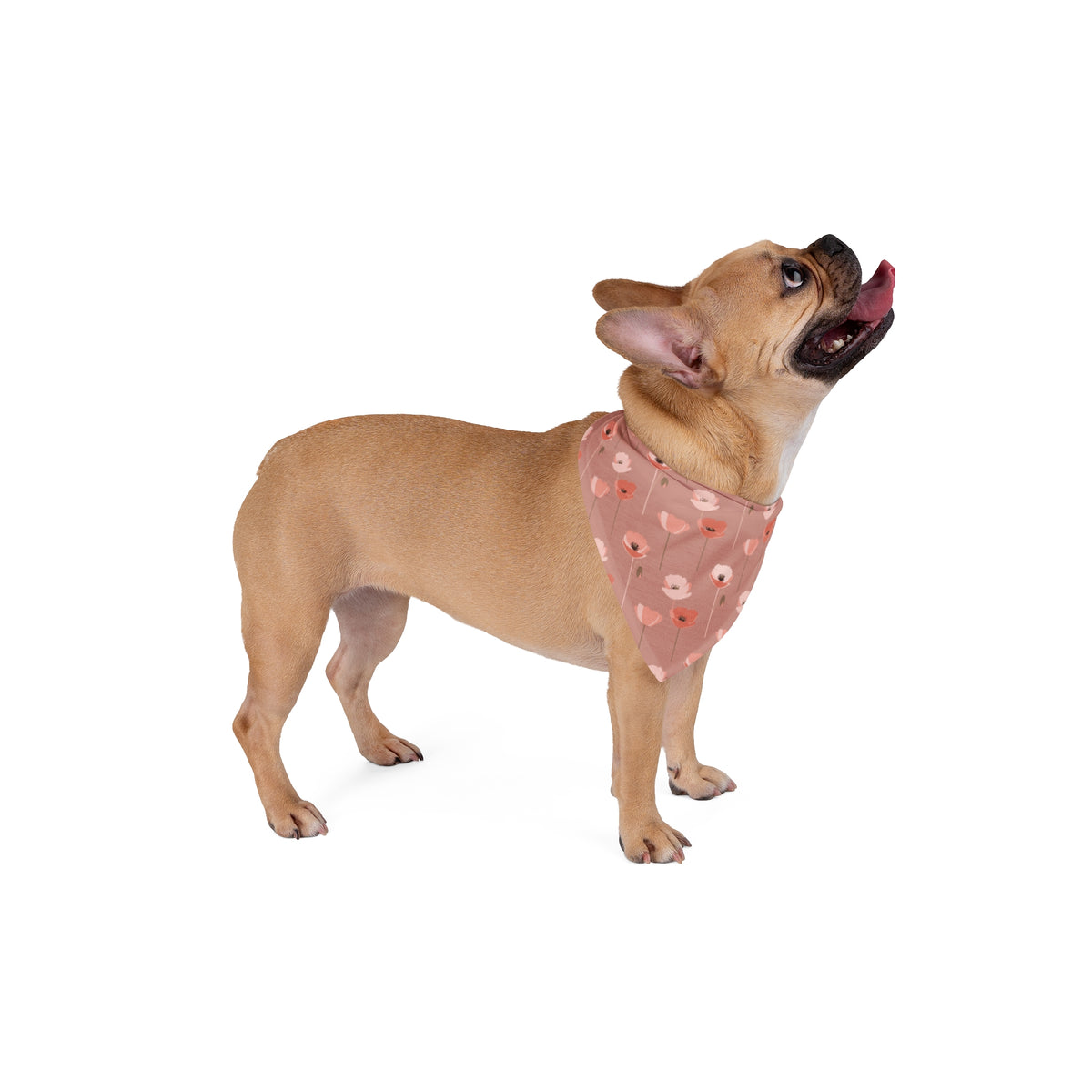 Floral Poppy Pet Bandana (single-sided)