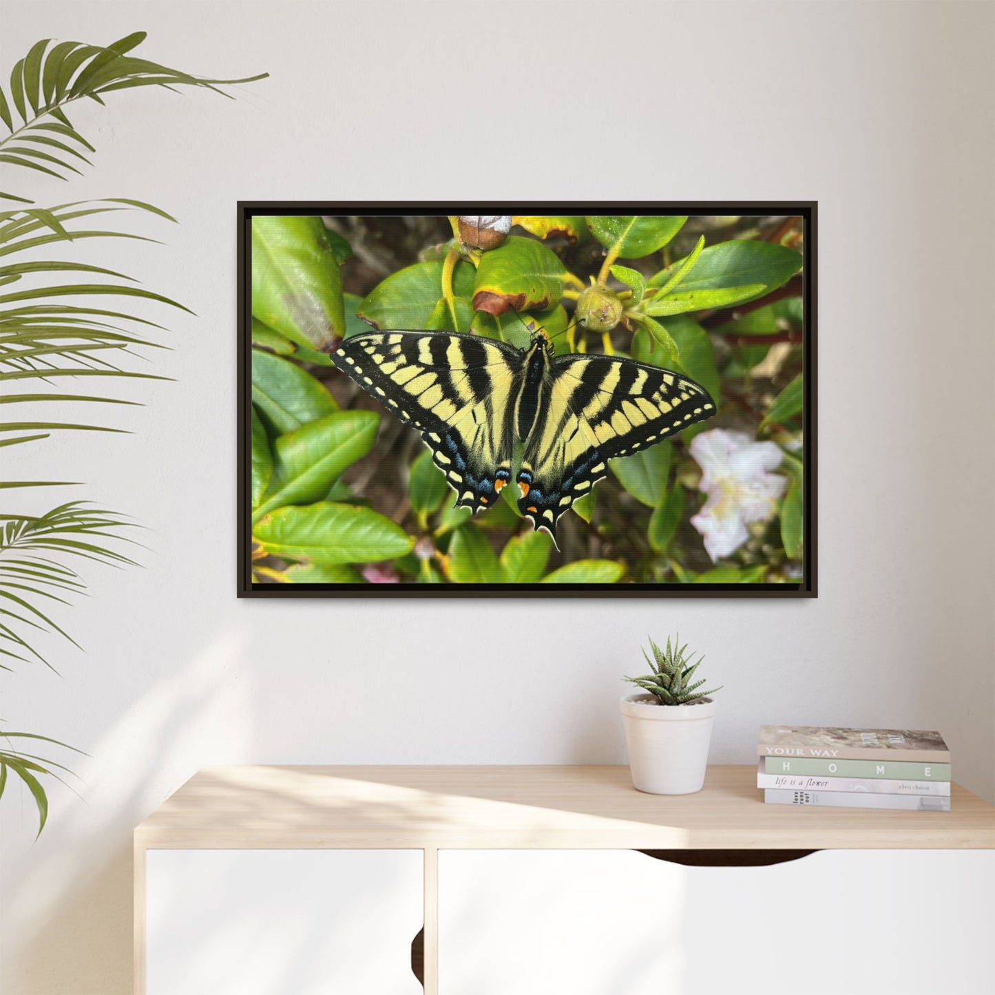 Canvas Print in Frame - Eastern Tiger Swallowtail on Rhodie (original photograph by Kind River Studio)
