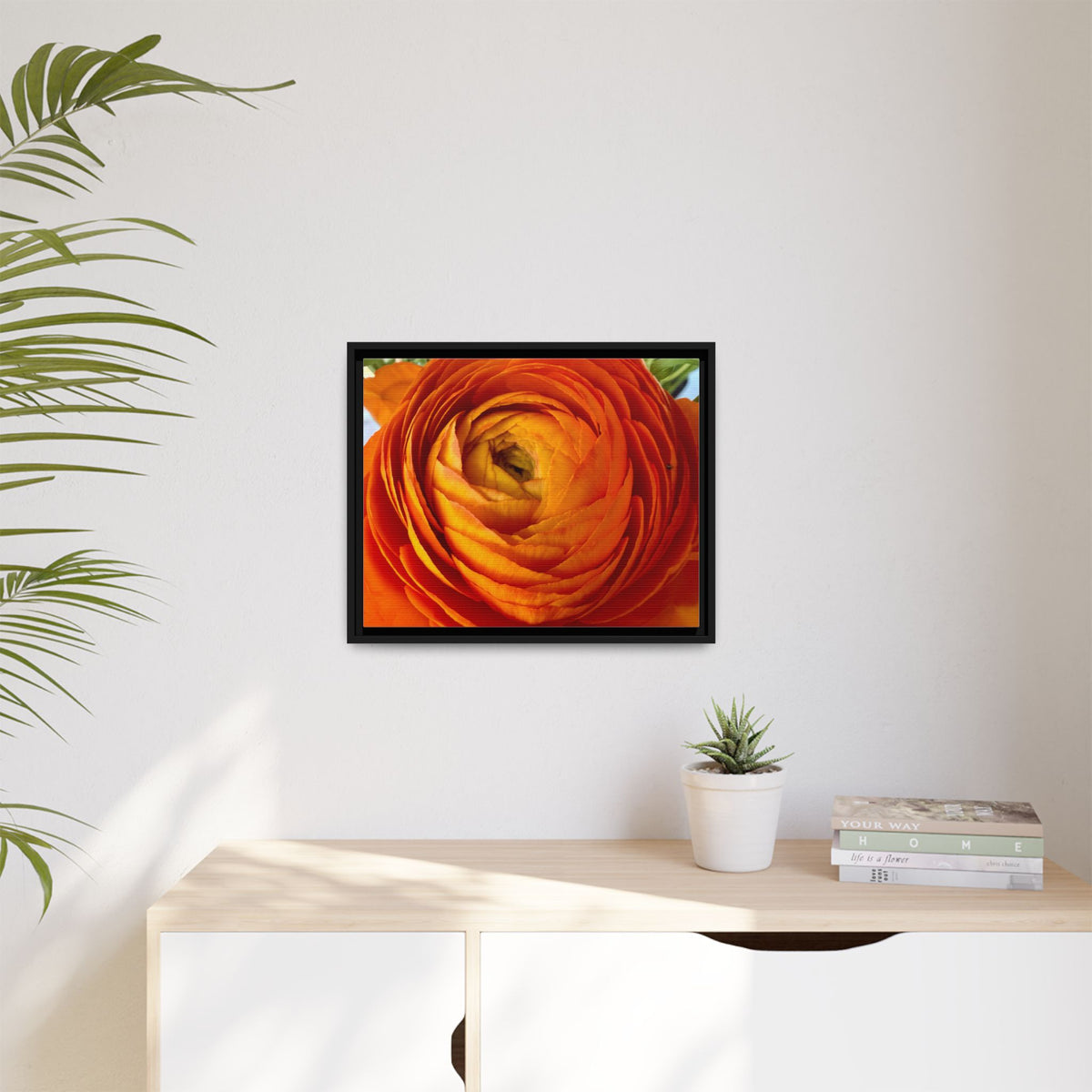 Orange Ranunculus Canvas Framed Print (original photograph by Kind River Studio)