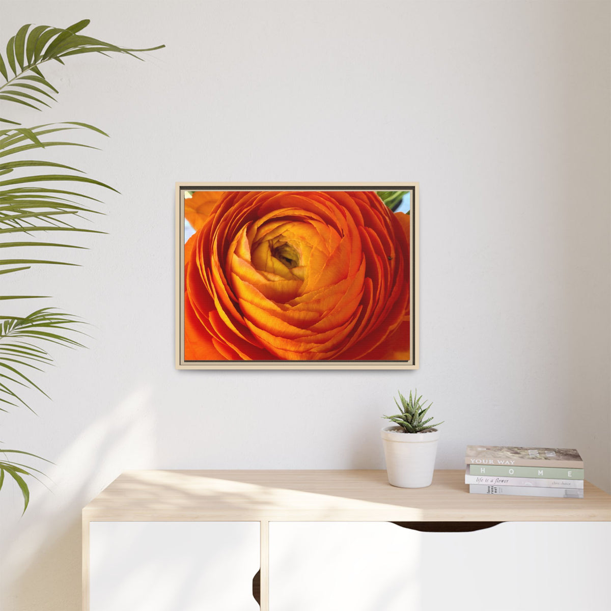 Orange Ranunculus Canvas Framed Print (original photograph by Kind River Studio)