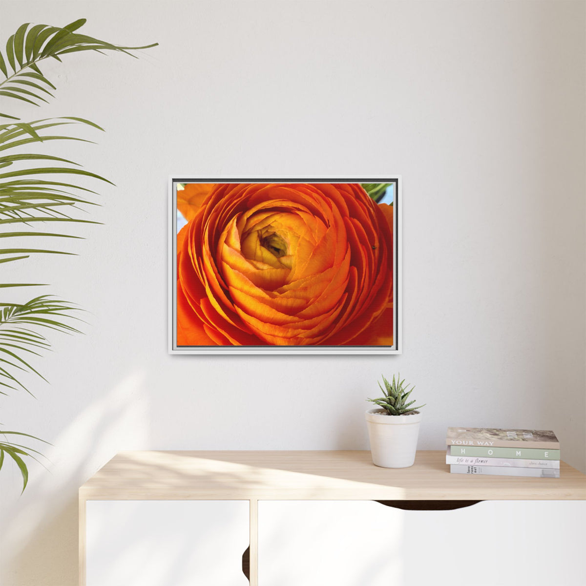 Orange Ranunculus Canvas Framed Print (original photograph by Kind River Studio)