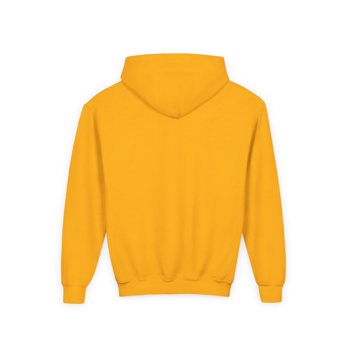 Sweater Weather Swissy Hoodie (Youth)