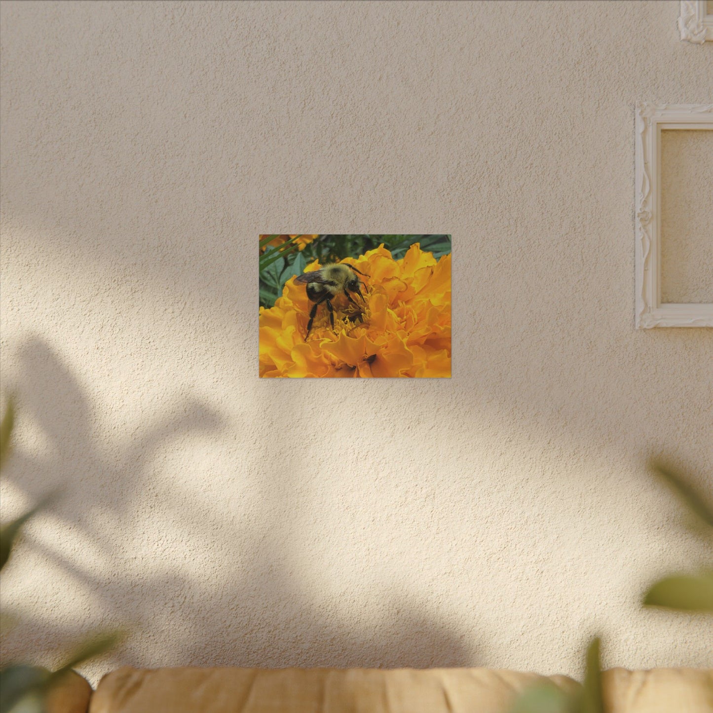 Canvas Print - Bee on Marigold MA (original photograph by Kind River Studio)