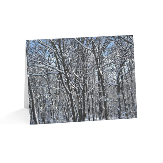 Copy of Note Cards | Set of 10 - Swans (original photograph by Kind River Studio)
