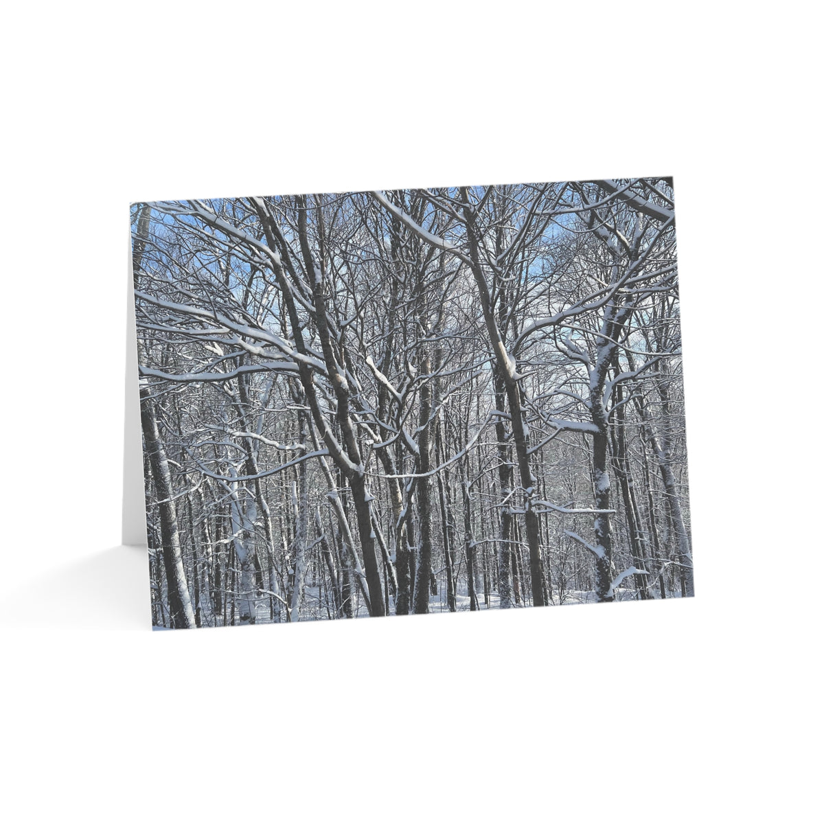 Copy of Note Cards | Set of 10 - Swans (original photograph by Kind River Studio)