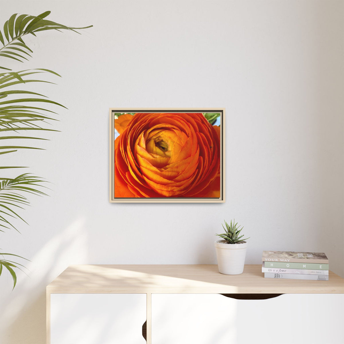 Orange Ranunculus Canvas Framed Print (original photograph by Kind River Studio)