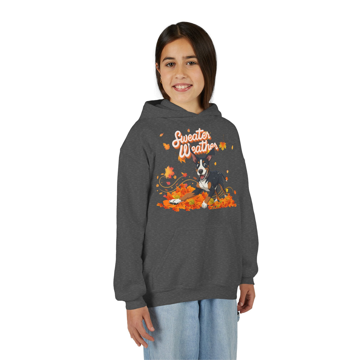 Sweater Weather Swissy Hoodie (Youth)