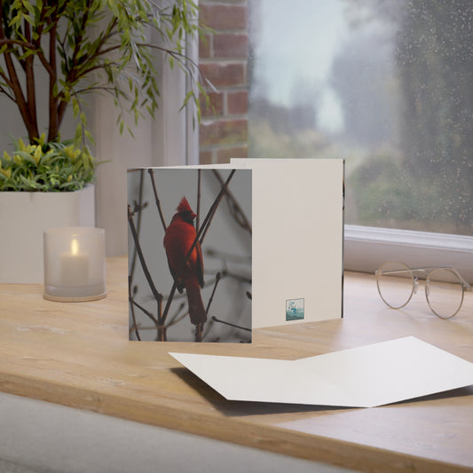 Note Cards | Set of 10 - Cardinal (original photograph by Kind River Studio)