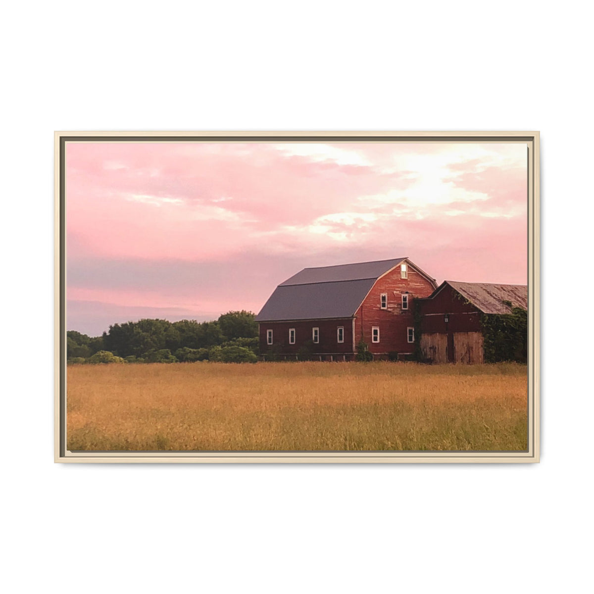 Weathered Barn at Dusk Canvas Framed Print