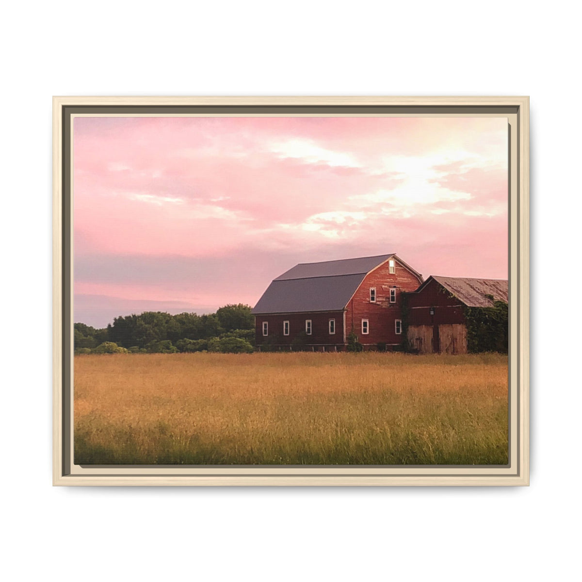 Weathered Barn at Dusk Canvas Framed Print