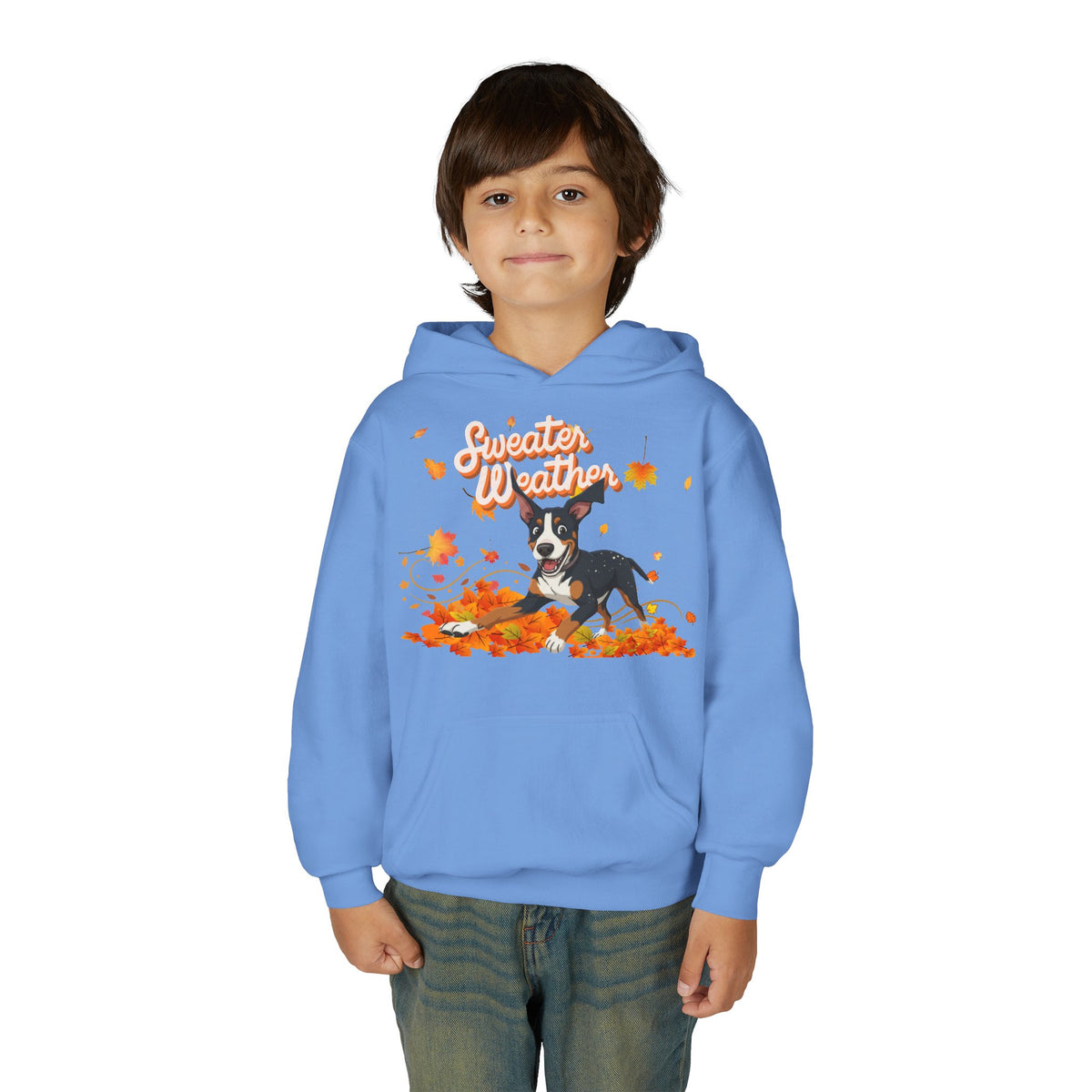 Sweater Weather Swissy Hoodie (Youth)
