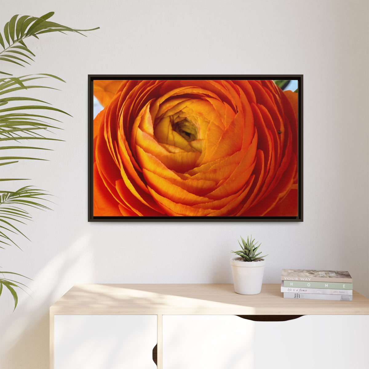 Orange Ranunculus Canvas Framed Print (original photograph by Kind River Studio)