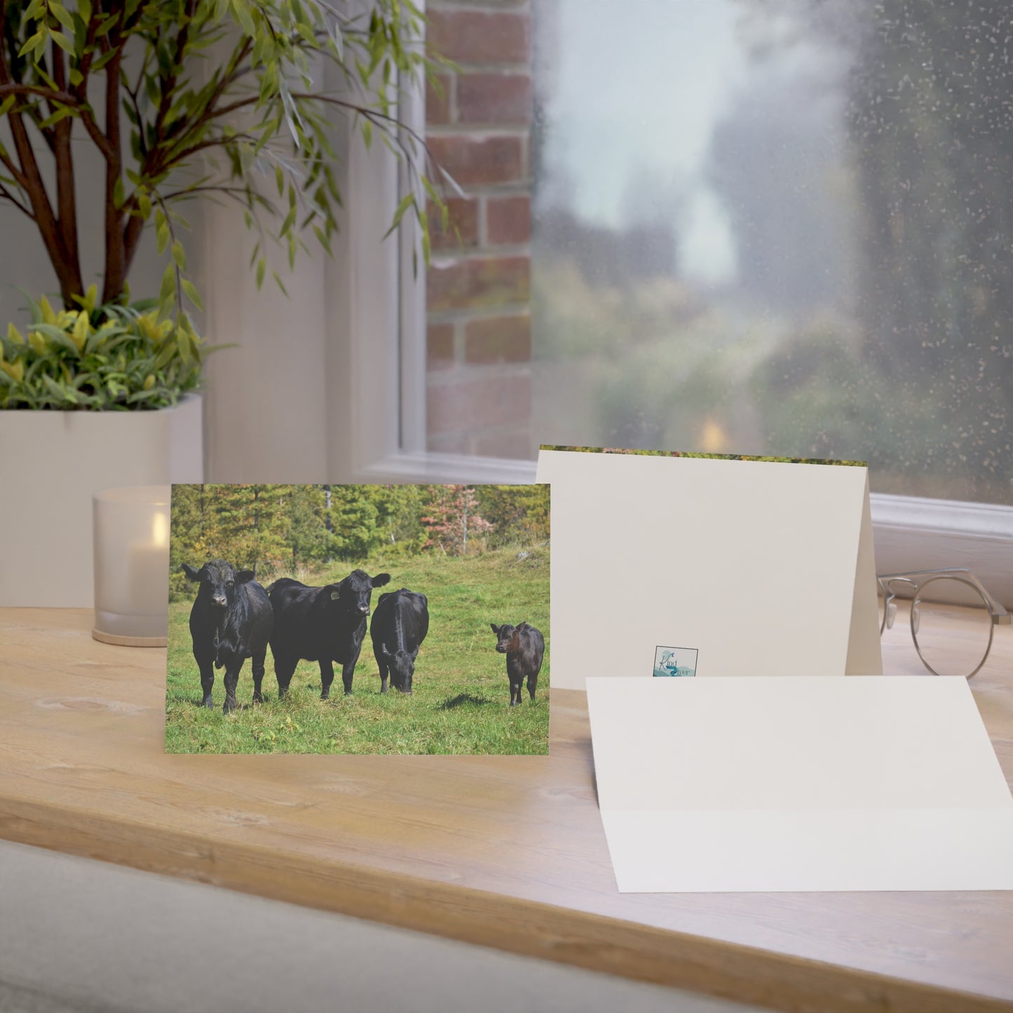 Note Cards | Set of 10 - Angus Cows in Autumn