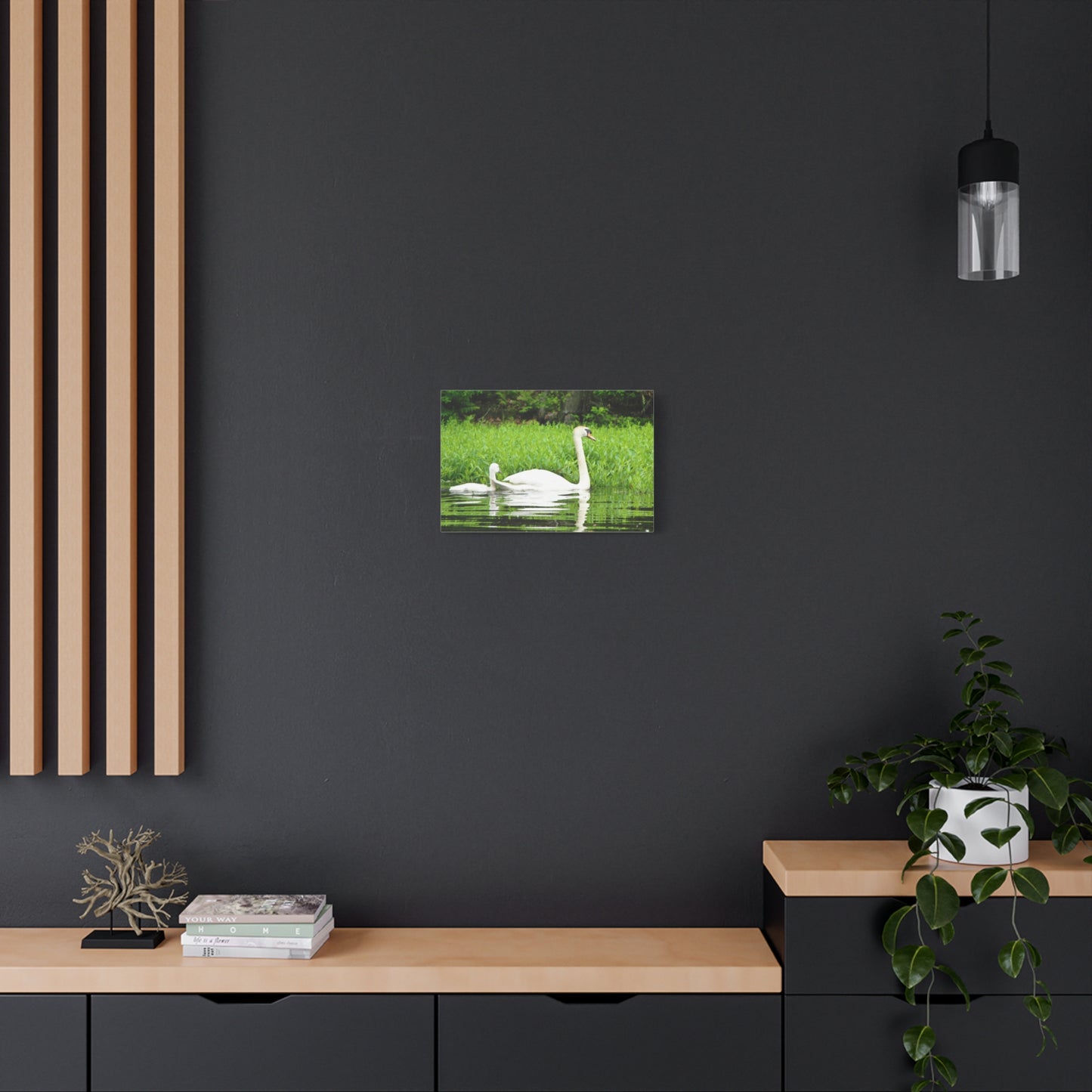 Canvas Print - White Swans (original photograph by Kind River Studio)