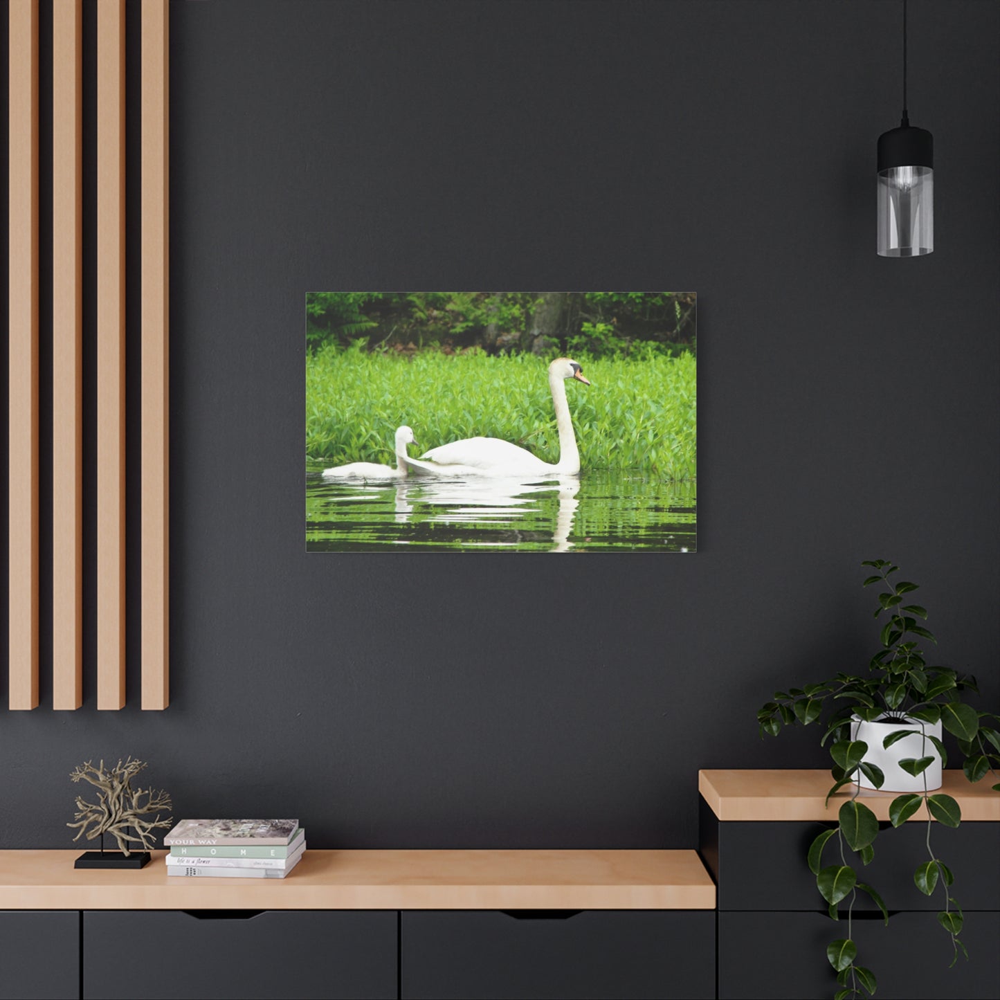 Canvas Print - White Swans (original photograph by Kind River Studio)