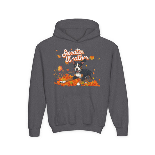 Sweater Weather Swissy Hoodie (Youth)