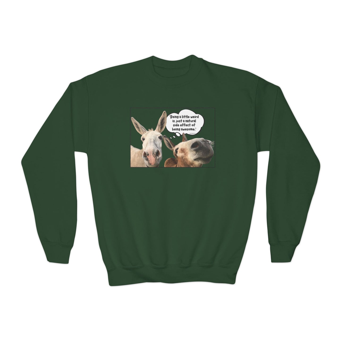 Sweatshirt - Crewneck (Youth) - Weird is Awesome