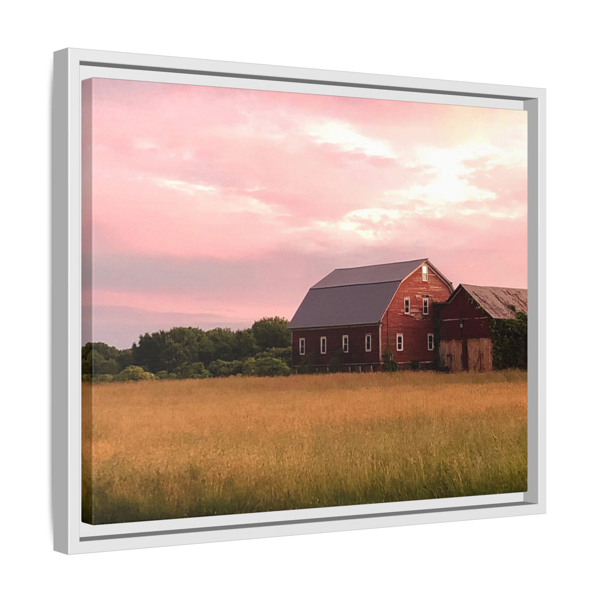 Weathered Barn at Dusk Canvas Framed Print