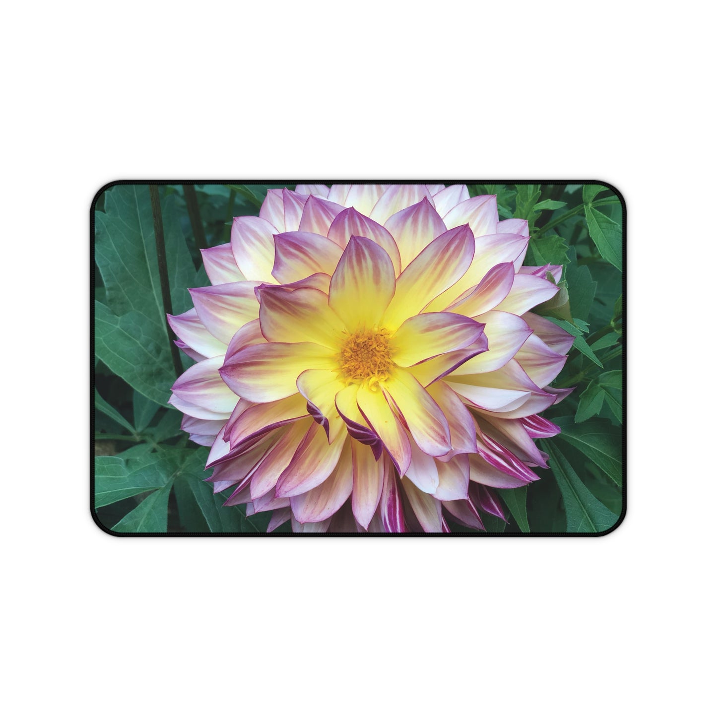 Dahlia Bloom Desk Mat  (original photograph by Kind River Studio)