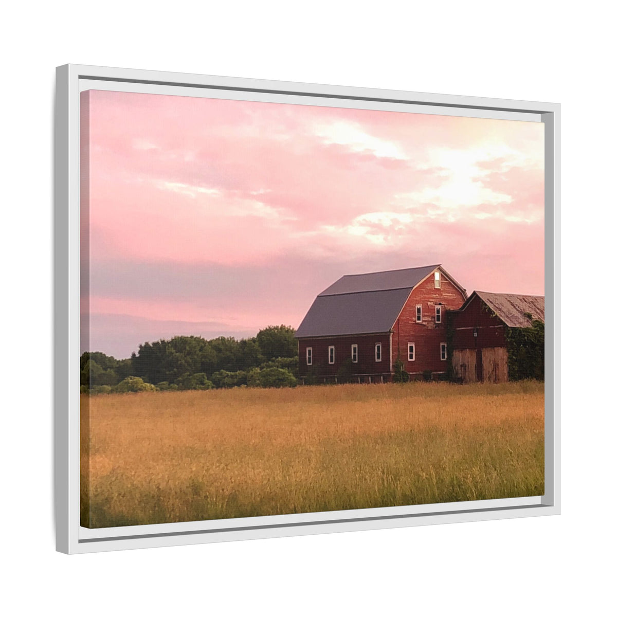 Weathered Barn at Dusk Canvas Framed Print