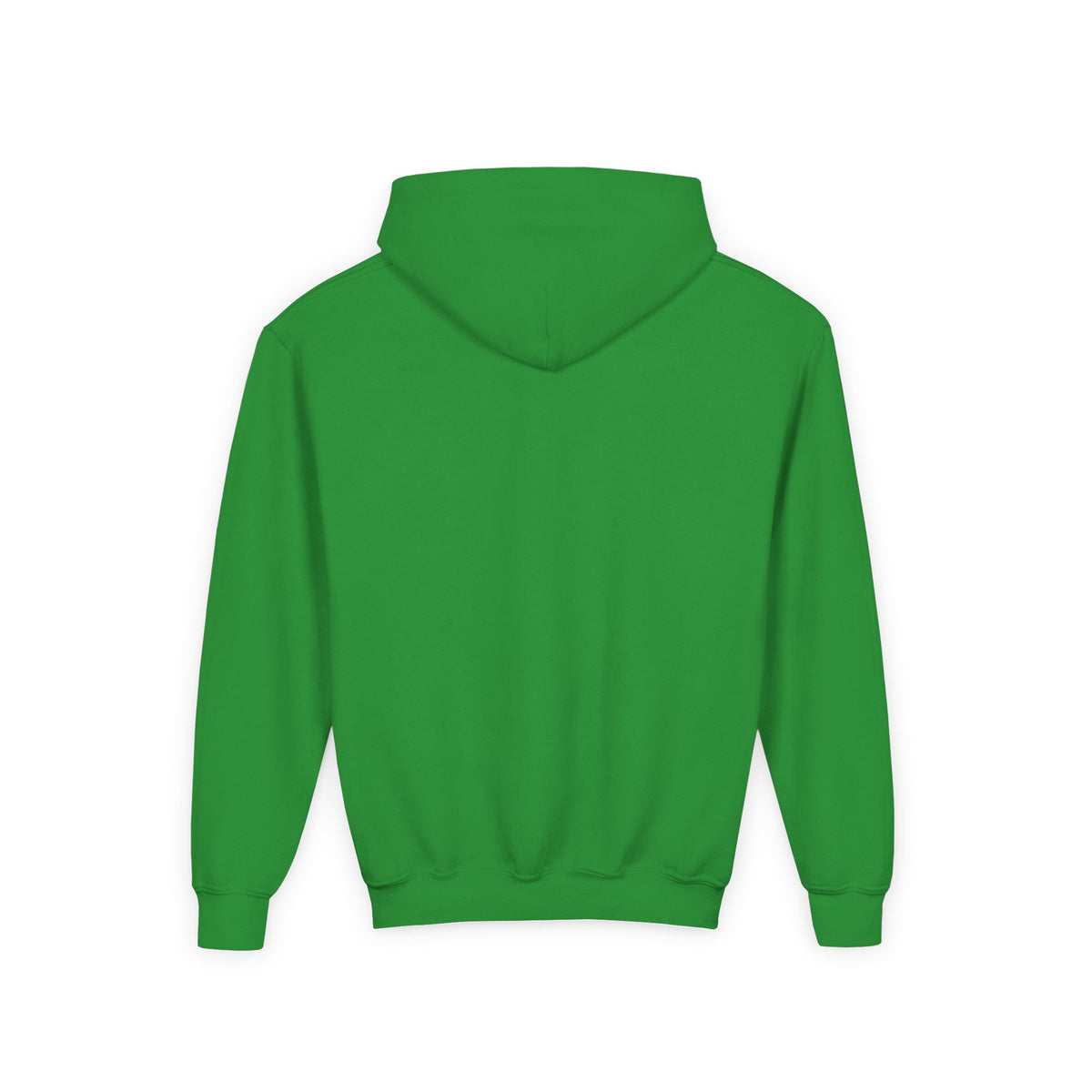 Sweater Weather Swissy Hoodie (Youth)