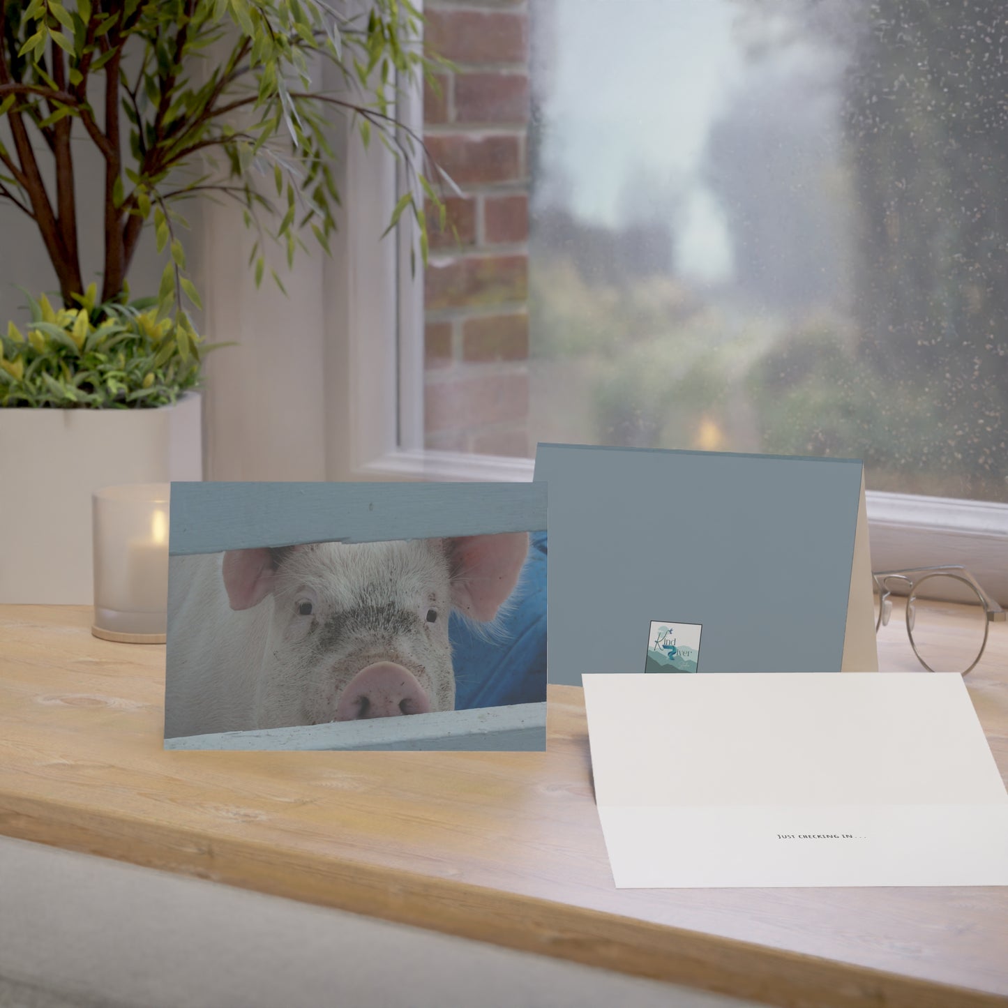 Note Cards | Set of 10 - Peekaboo Pig (original photograph by Kind River Studio)