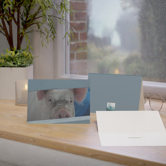 Note Cards | Set of 10 - Peekaboo Pig (original photograph by Kind River Studio)