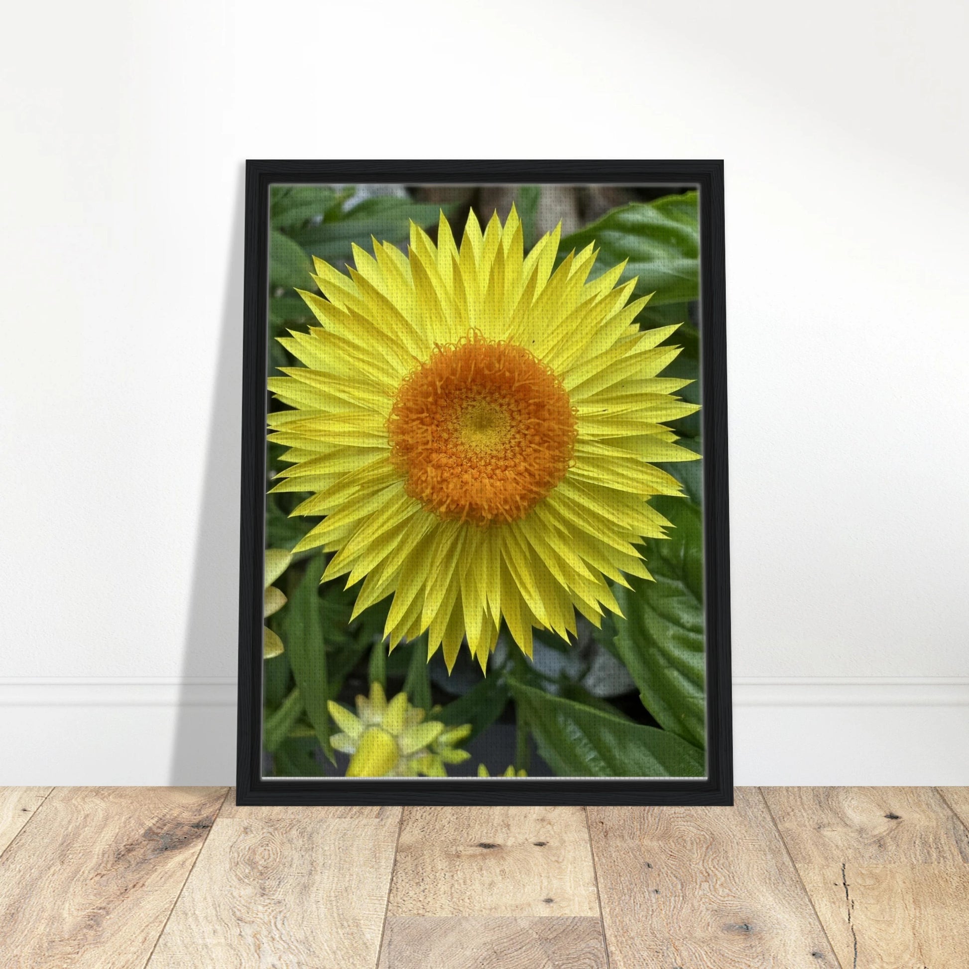 6d8f9e4d-6571-4ab8-b0c6-7e0a04295cd2