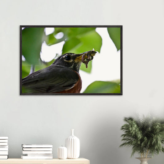 7085d2db-7a8e-418a-b12e-a291a5f30a15