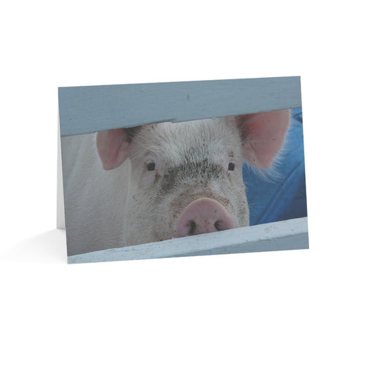 Note Cards | Set of 10 - Peekaboo Pig (original photograph by Kind River Studio)