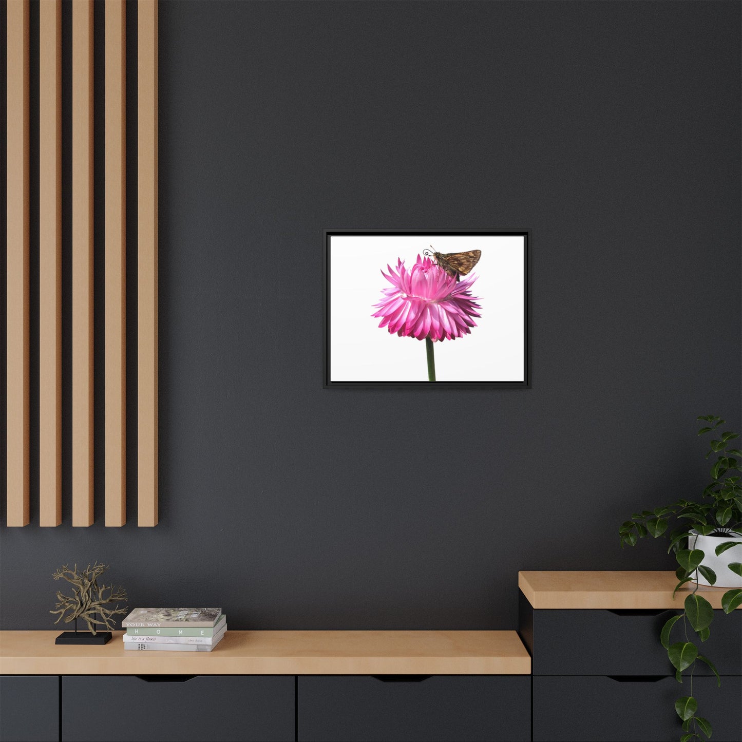 Canvas Print in Frame - Skipper on Strawflower (original photograph by Kind River Studio)