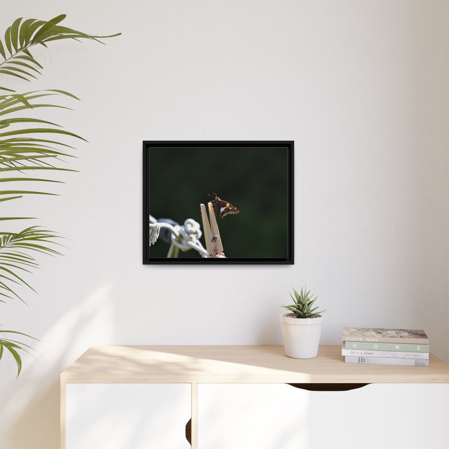 Canvas Print in Frame - Skipper on the Line (original photograph by Kind River Studio)
