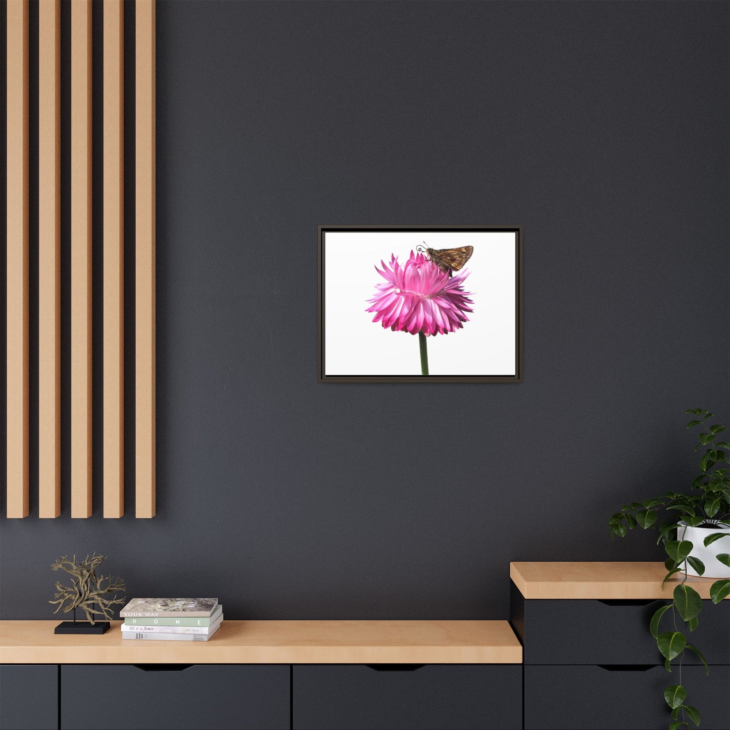 Canvas Print in Frame - Skipper on Strawflower (original photograph by Kind River Studio)
