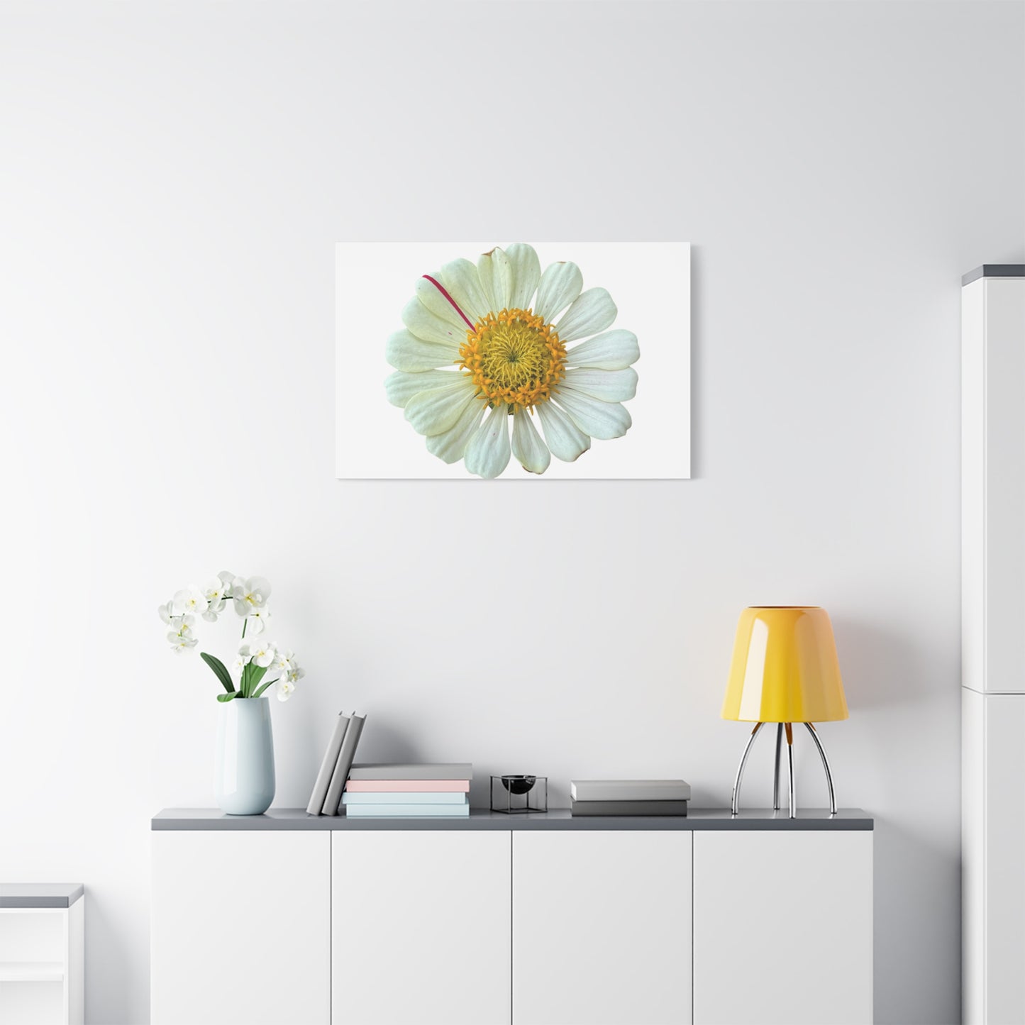 Canvas Print - One White Zinnia with Pink Striped Petal (original photograph by Kind River Studio)