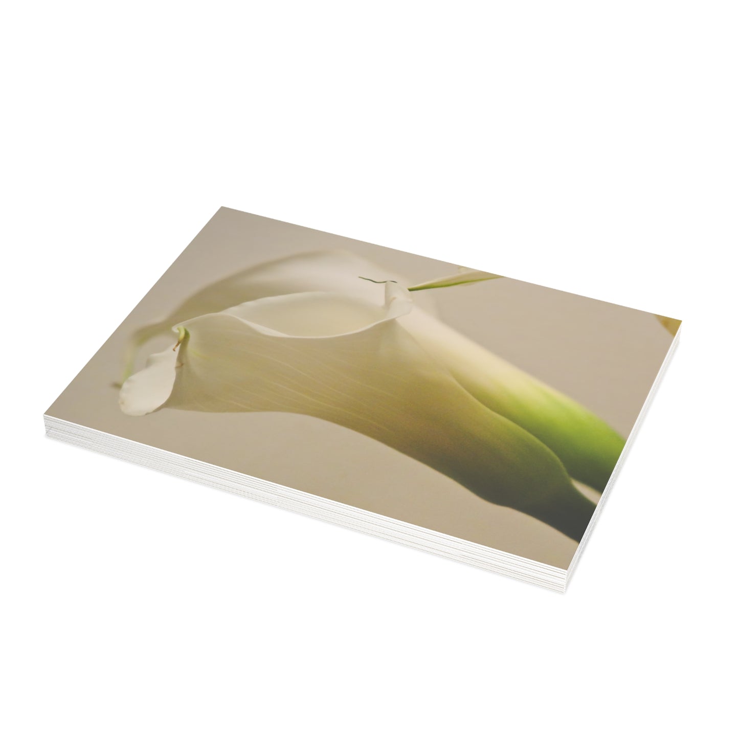 Note Cards | Set of 10 - Calla Lily