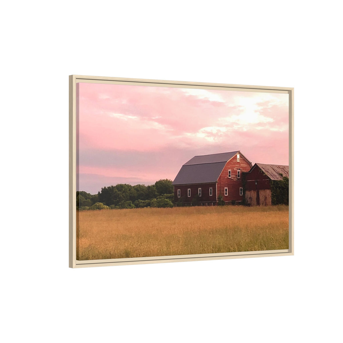 Weathered Barn at Dusk Canvas Framed Print