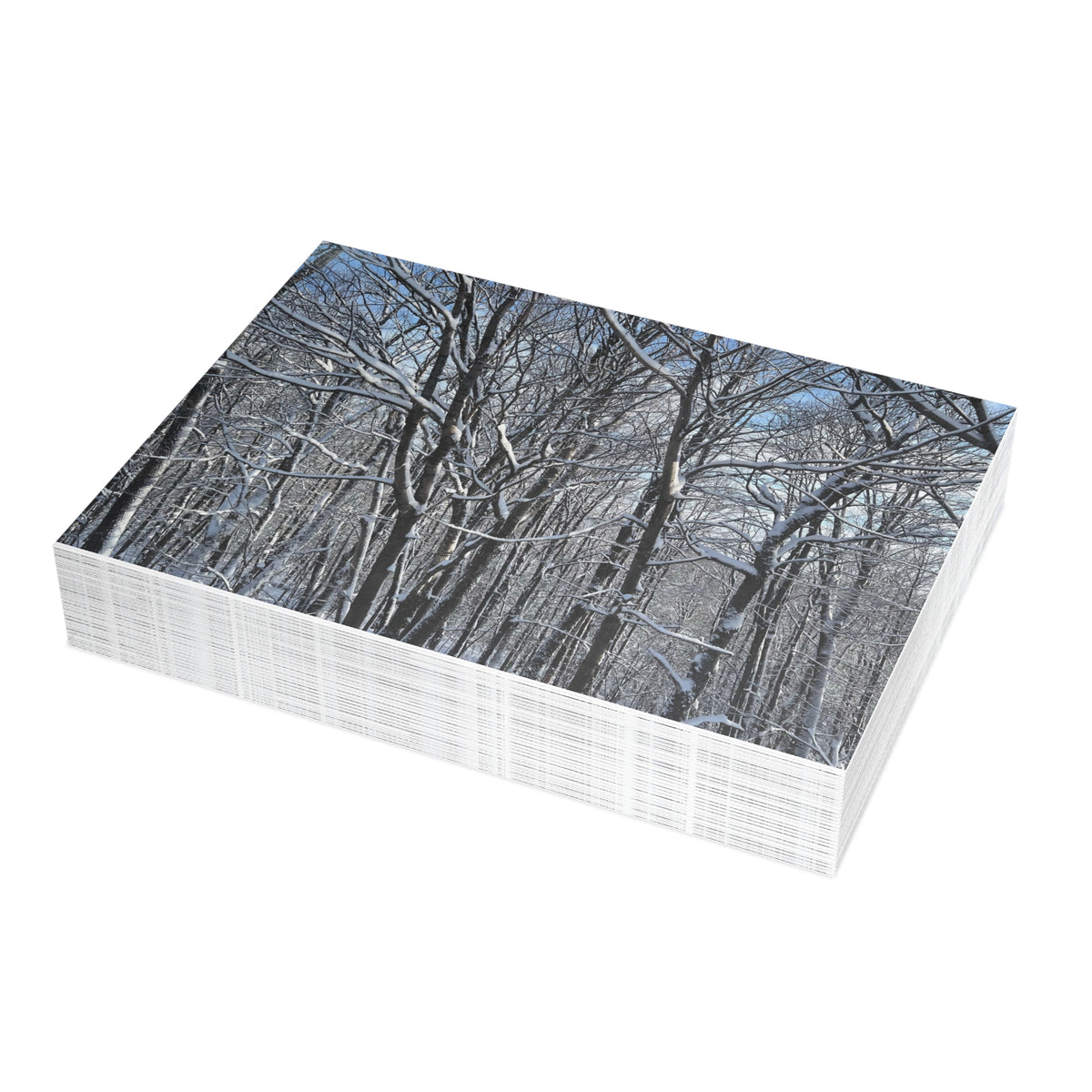 Copy of Note Cards | Set of 10 - Swans (original photograph by Kind River Studio)