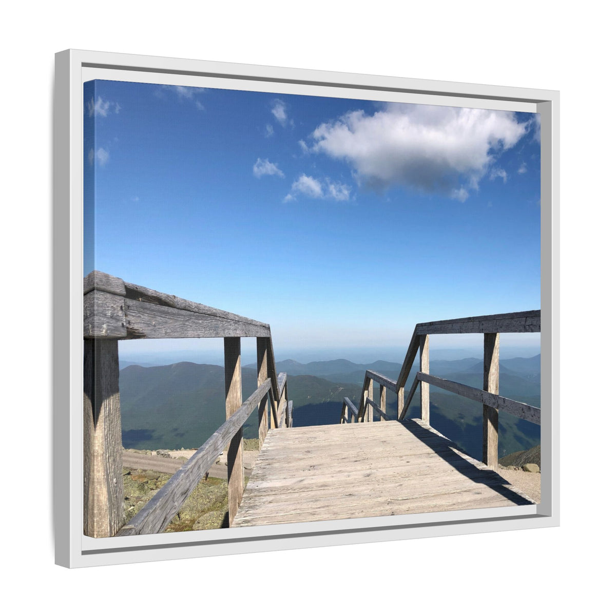 Quiet Descent Framed Matte Canvas Print