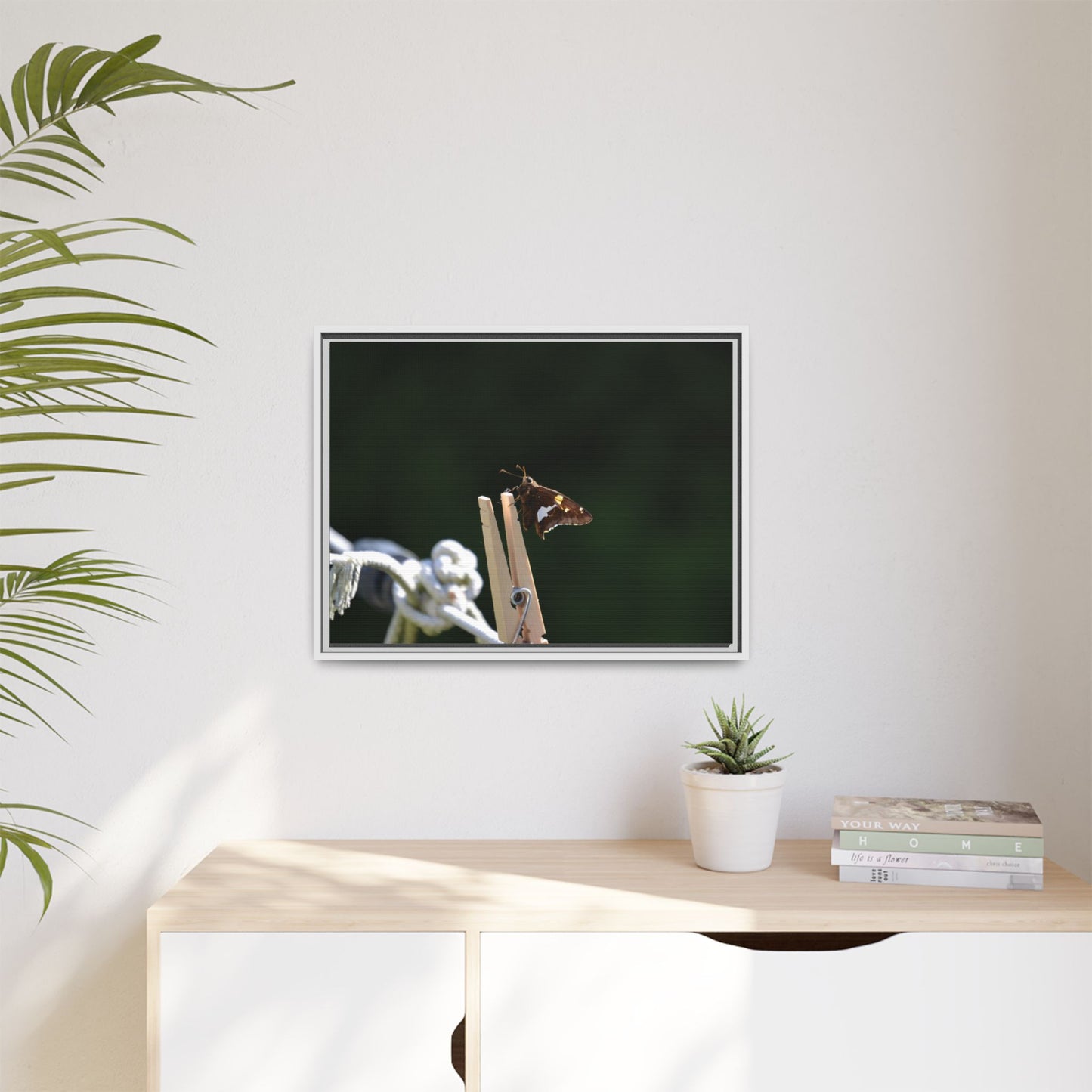 Canvas Print in Frame - Skipper on the Line (original photograph by Kind River Studio)