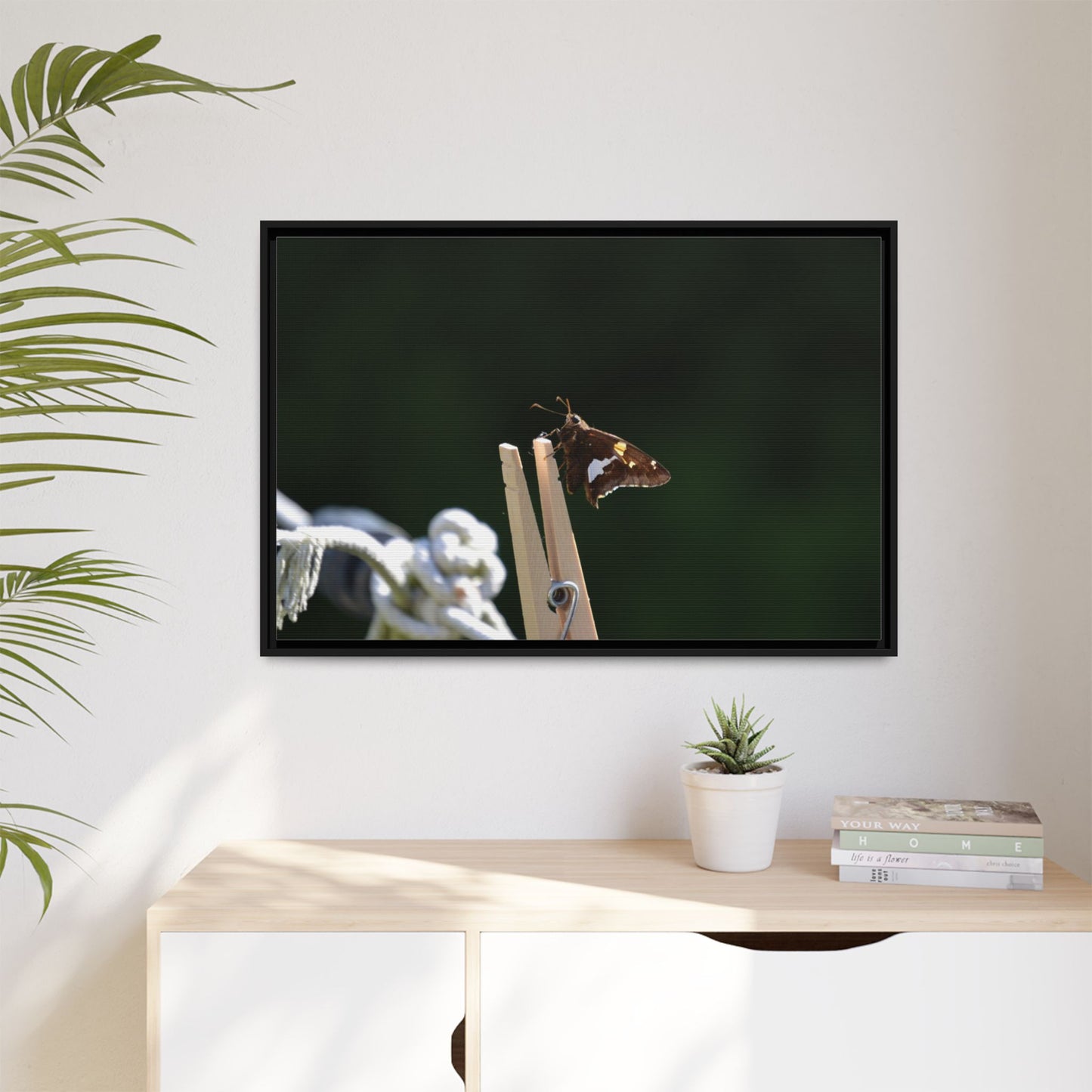 Canvas Print in Frame - Skipper on the Line (original photograph by Kind River Studio)