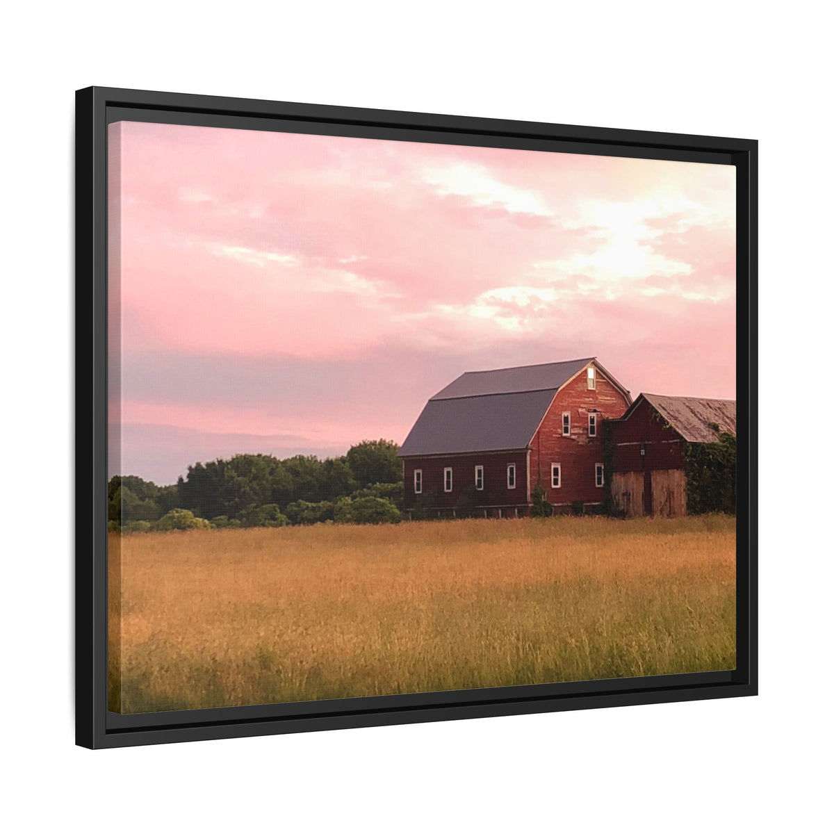 Weathered Barn at Dusk Canvas Framed Print