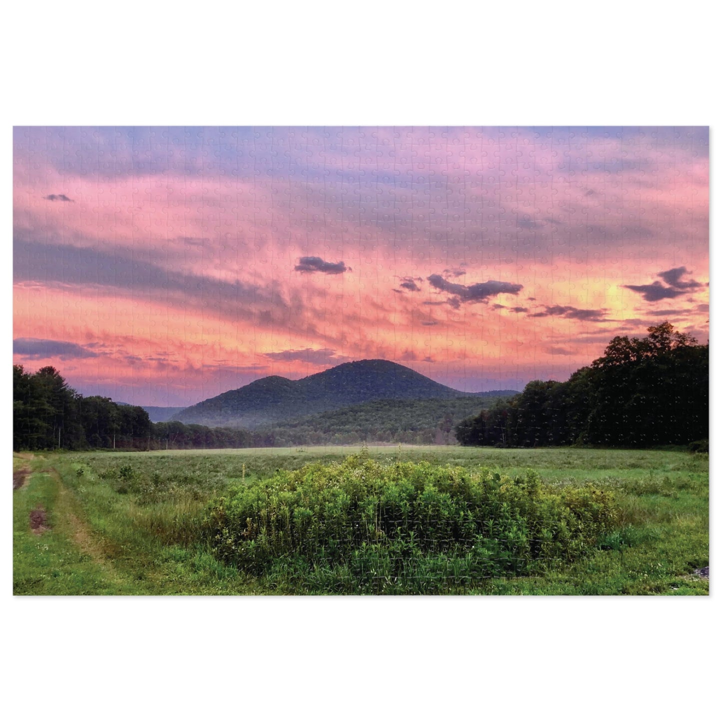 Jigsaw Puzzle (1000 pcs) - Field at Dusk