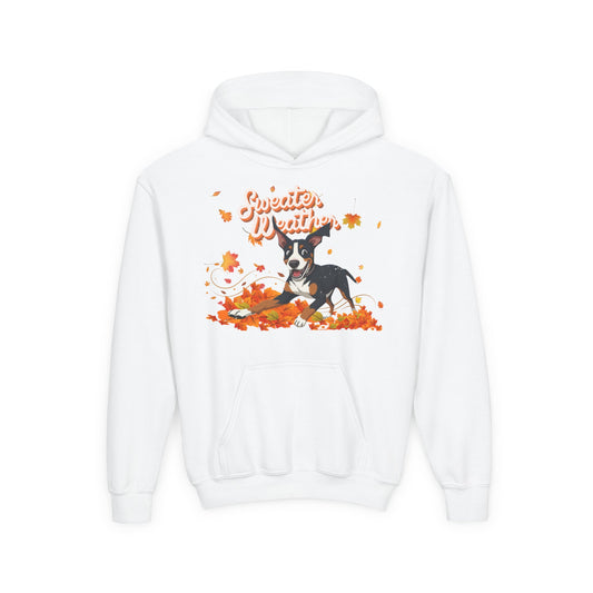 Sweater Weather Swissy Hoodie (Youth)
