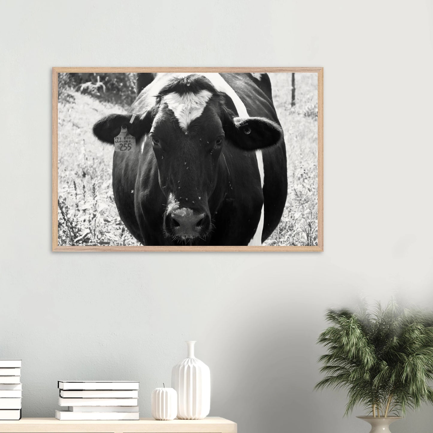 7ae330b2-d4ac-49d3-a3bc-3fe510b3d625