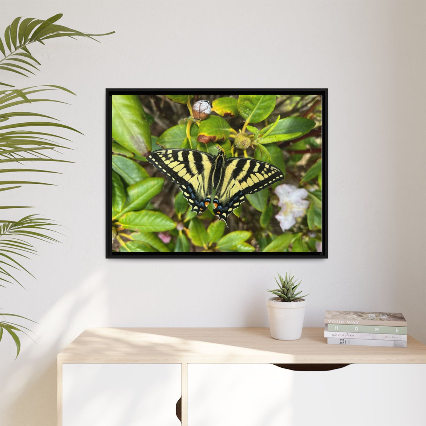 Canvas Print in Frame - Eastern Tiger Swallowtail Butterfly on Rhodie (original photograph by Kind River Studio)