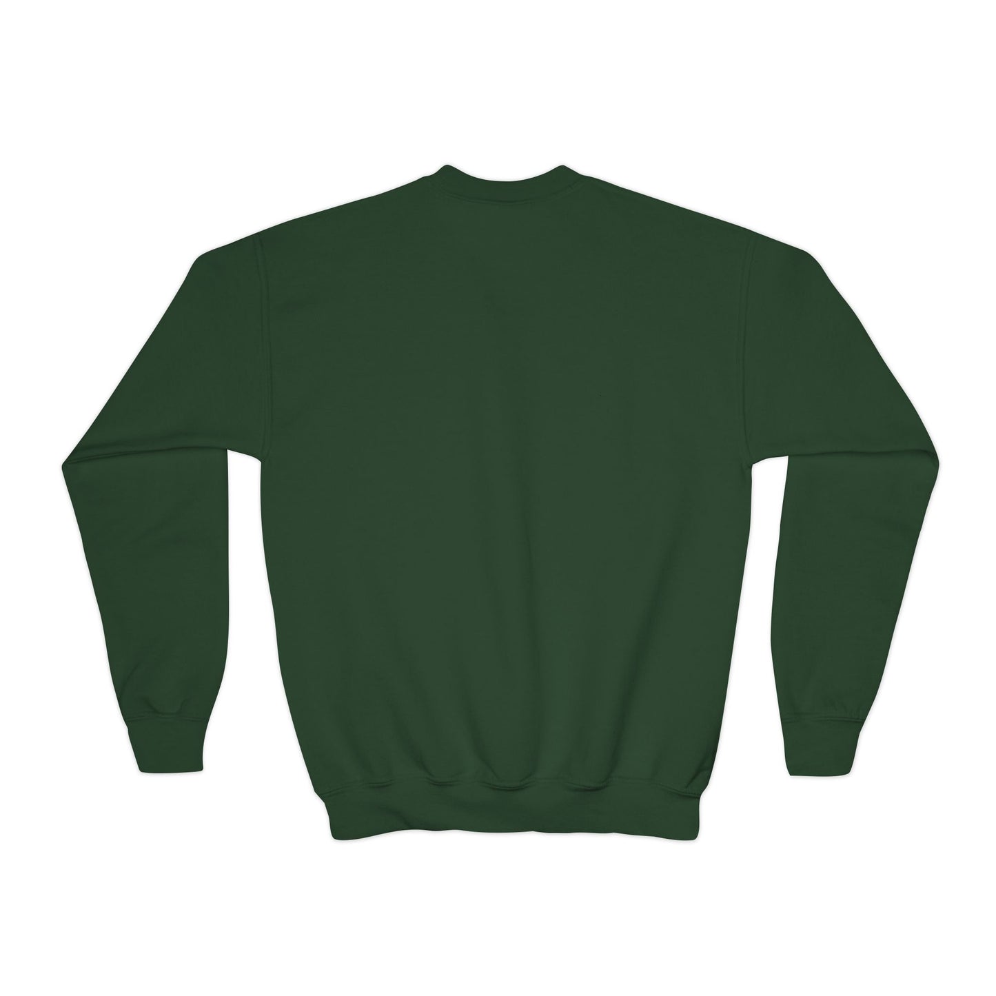 Crewneck Sweatshirt (Youth) - Long Sleeve - Float On