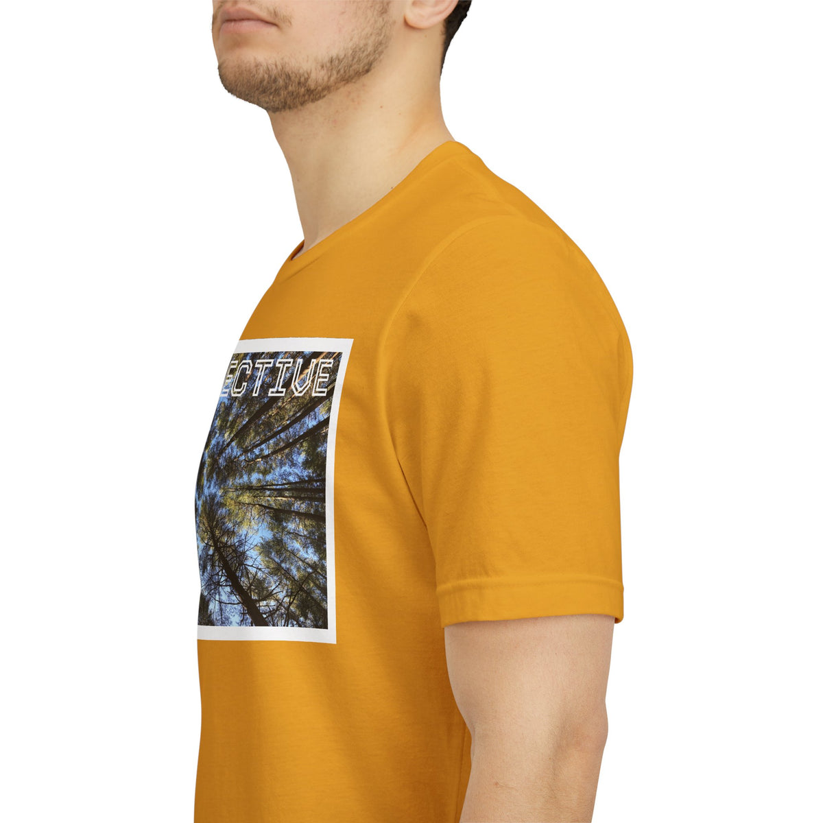 Perspective Tee (Adult)— Forest Canopy Photo T-Shirt (original photograph by Kind River Studio)