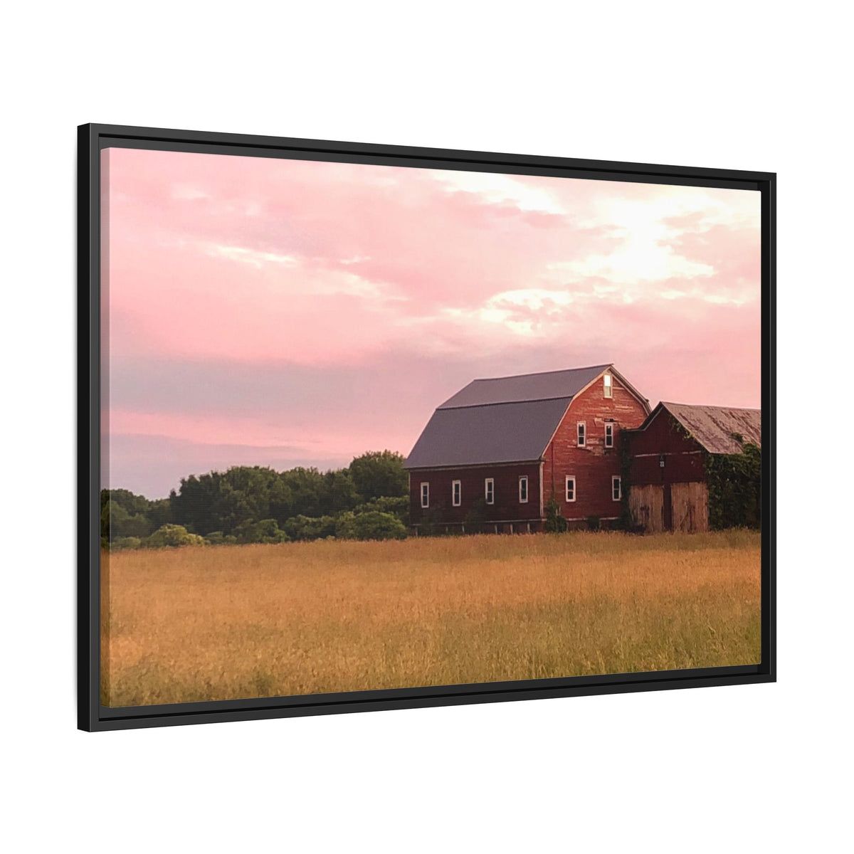 Weathered Barn at Dusk Canvas Framed Print