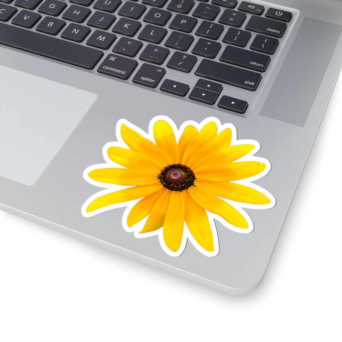Sticker - Gloriosa Daisy